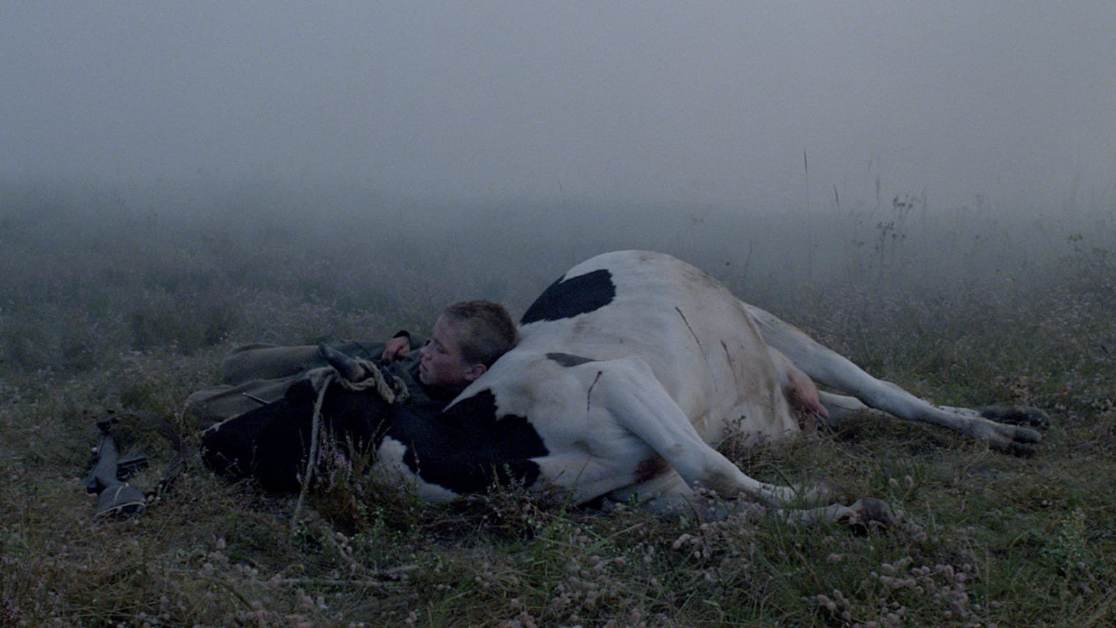 Image from the 1985 film Come and See in which the main character Flyora is asleep on a dead cow in a field.