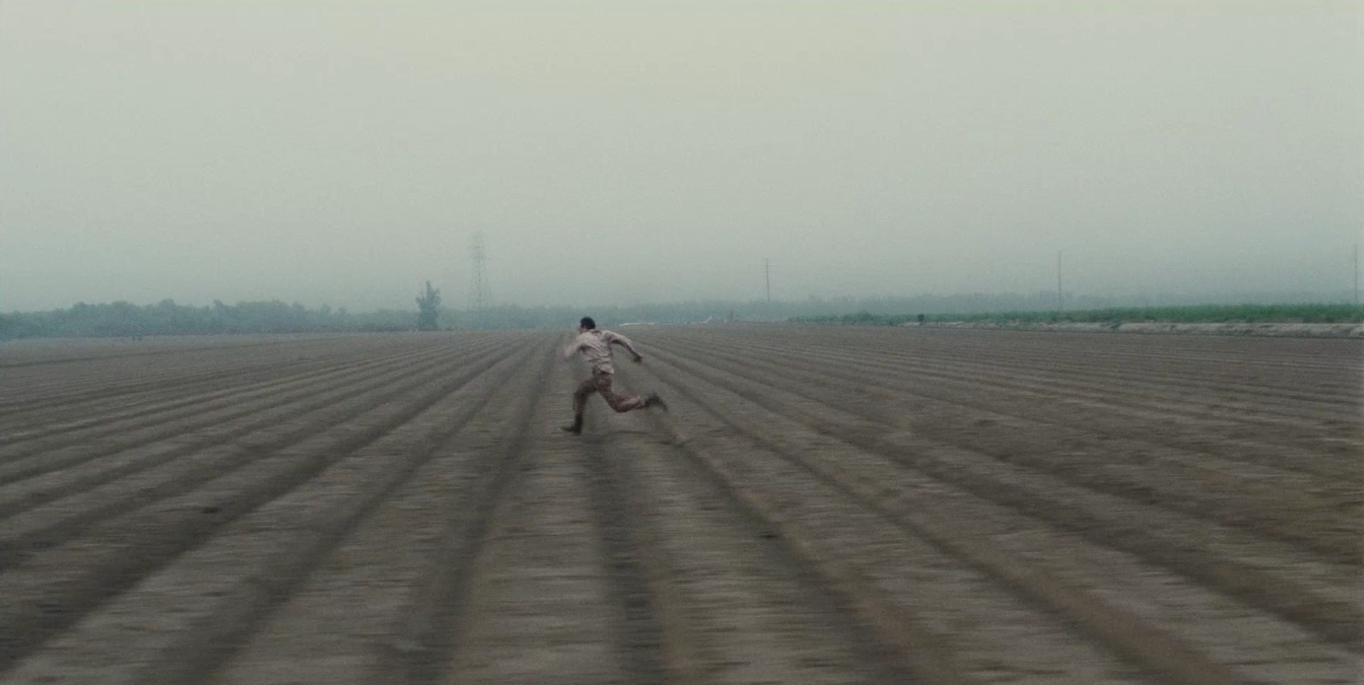 Unending fields in the 2012 Paul Thomas Anderson film "The Master"